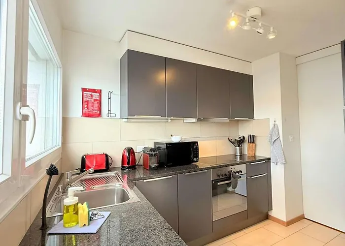 Good Location, Spacious, Comfortable And Bright!! Apartment Lausanne